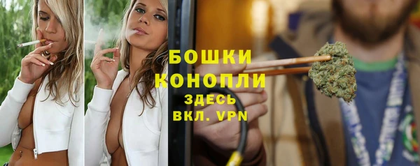дживик Богданович