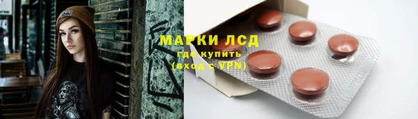 стаф Богородицк