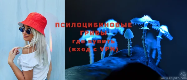 стаф Богородицк