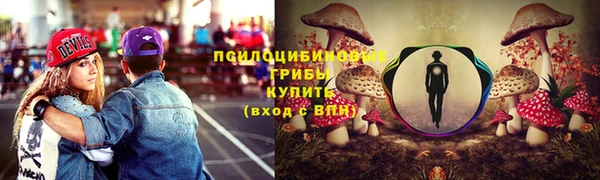 стаф Богородицк