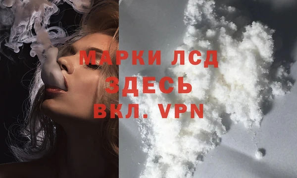 стаф Богородицк
