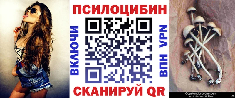 Псилоцибиновые грибы прущие грибы  Чёрмоз 